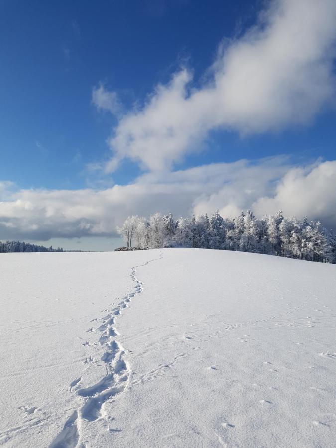 Espi-stables Esterhammer Liebenau (Upper Austria)