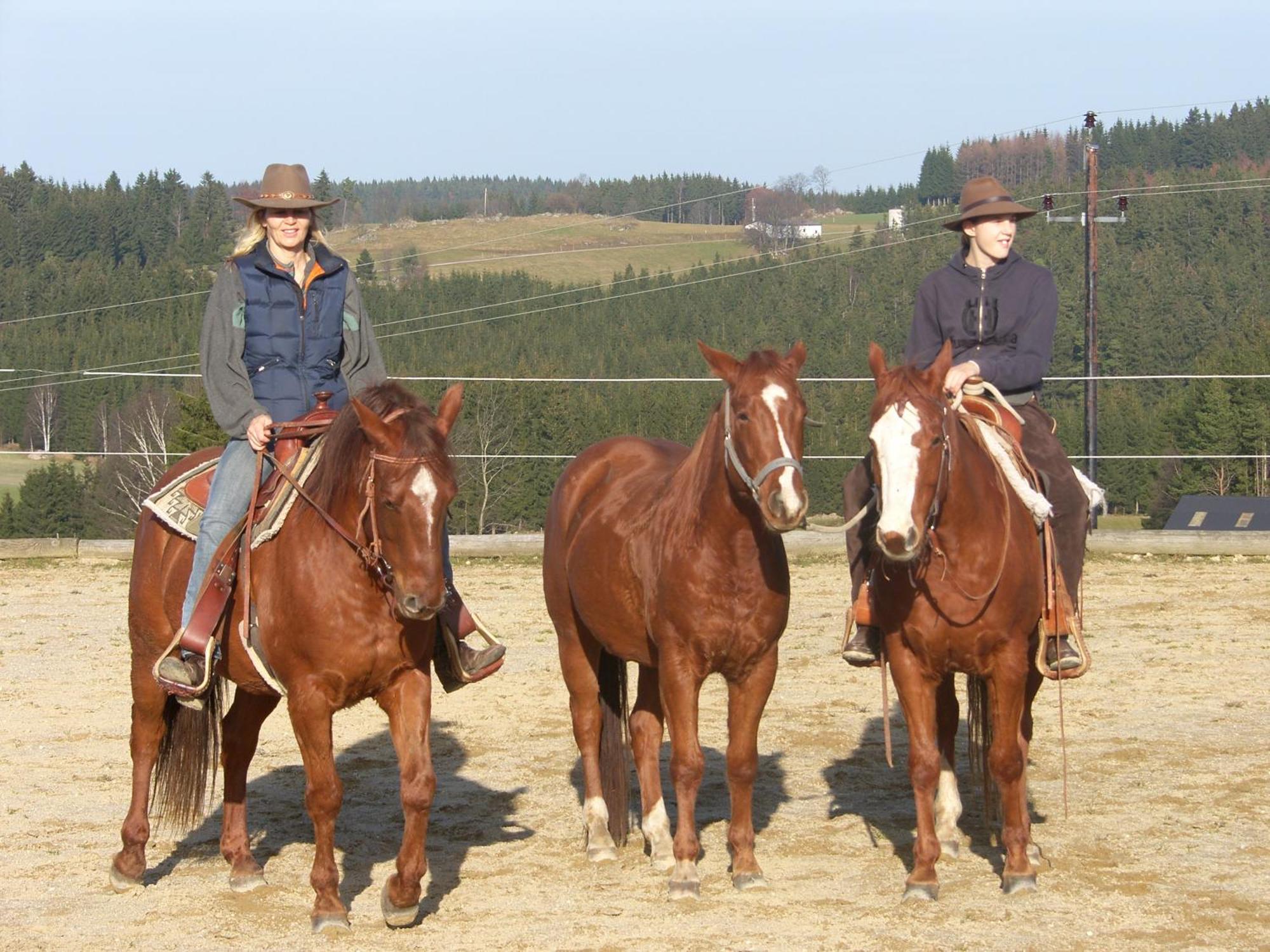 Farm stay Espi-stables Esterhammer *
