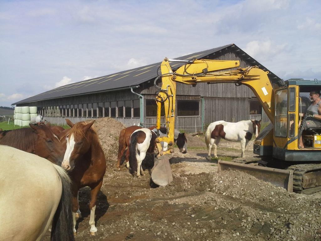Farm stay Espi-stables Esterhammer Liebenau (Upper Austria)