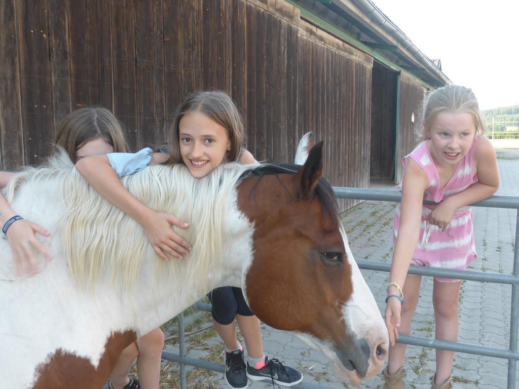 Farm stay Espi-stables Esterhammer Liebenau (Upper Austria)