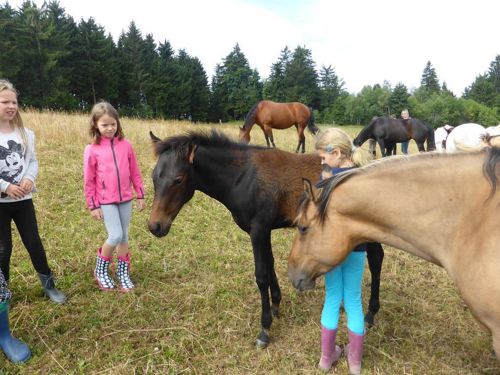 Farm stay Espi-stables Esterhammer