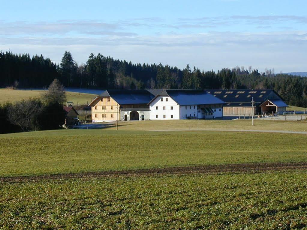 Espi-stables Esterhammer Liebenau (Upper Austria)