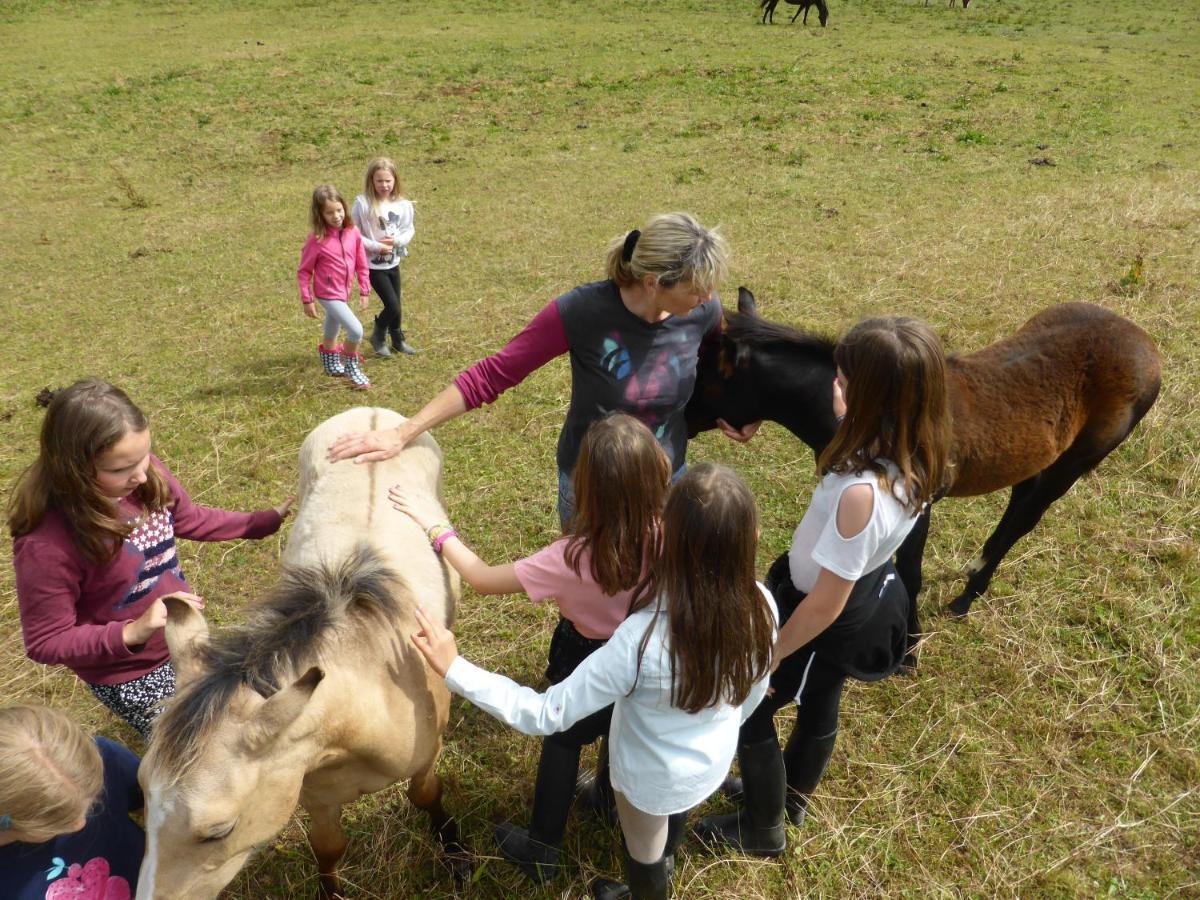 Espi-stables Esterhammer Farm stay