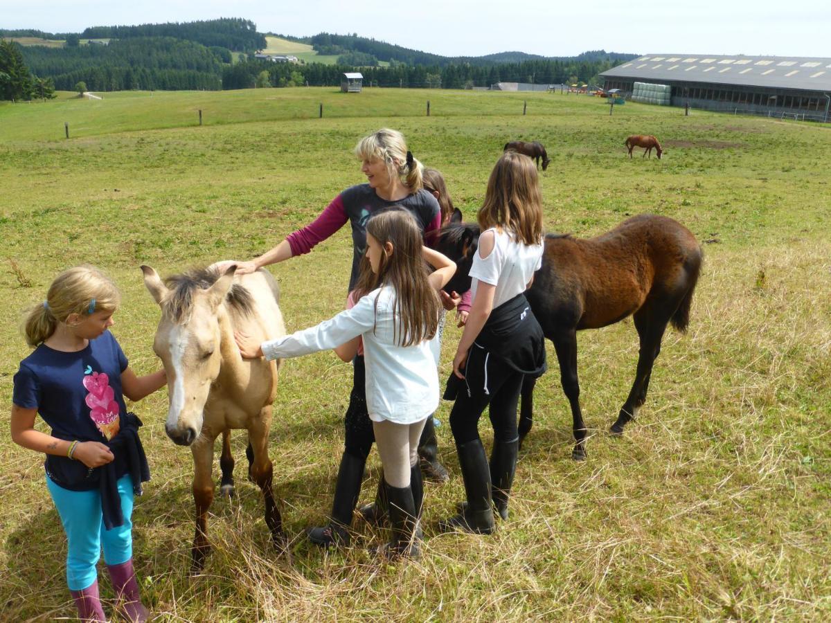 Espi-stables Esterhammer * Liebenau (Upper Austria)